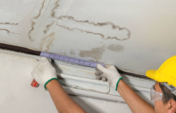 Reliable Water Damage contractor in Argyle, MI by Water Damage Irwin